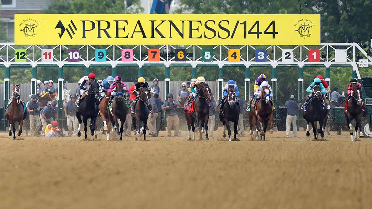 Preakness favorite Muth scratched after spiking fever NBC Sports Bay
