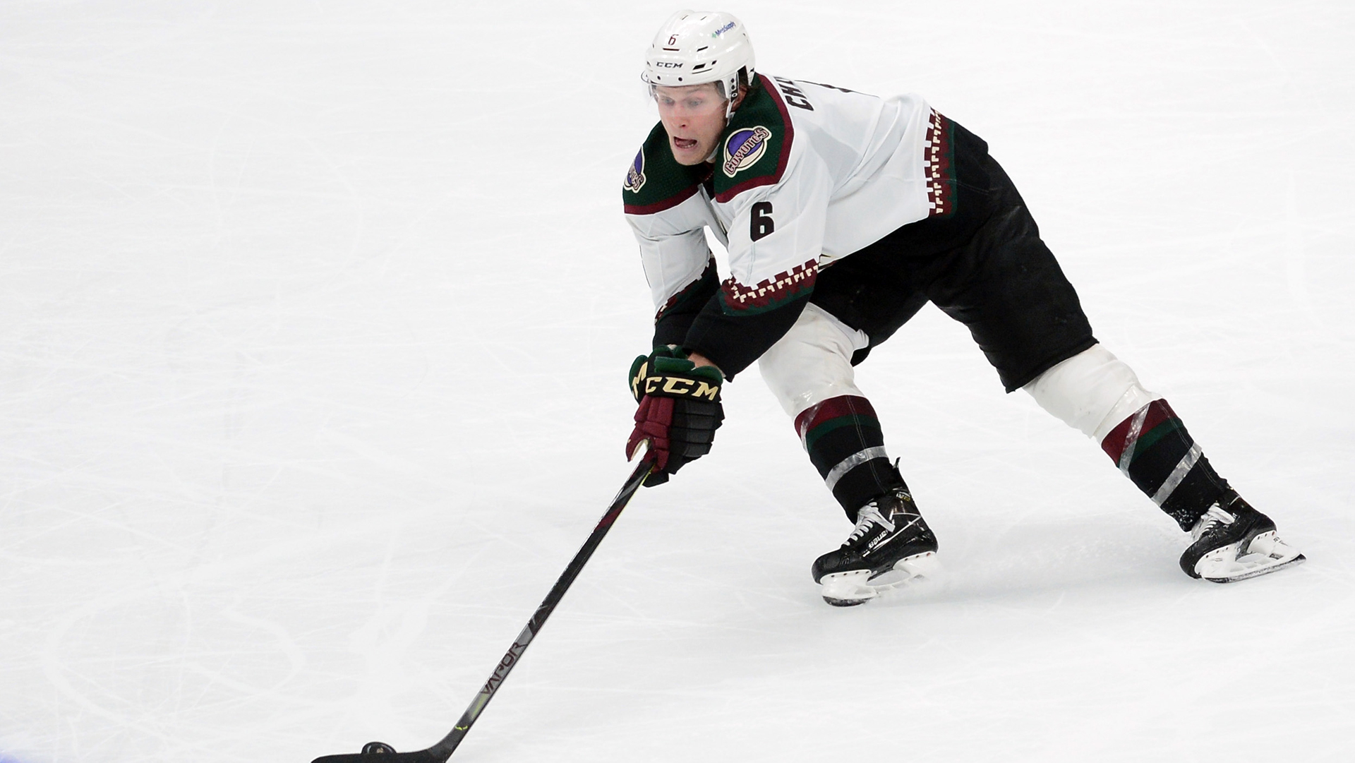 <p>The Coyotes are all in on the Shane Wright draft sweepstakes. Five games into the season, Arizona has managed only one point.</p>