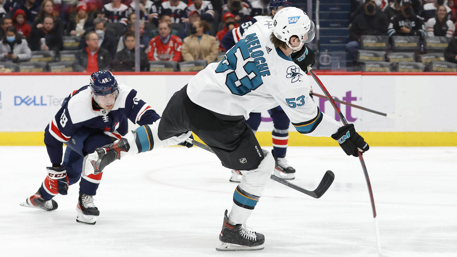 Sharks' Nicolas Meloche scores first NHL goal on mom's birthday – NBC  Sports Bay Area & California