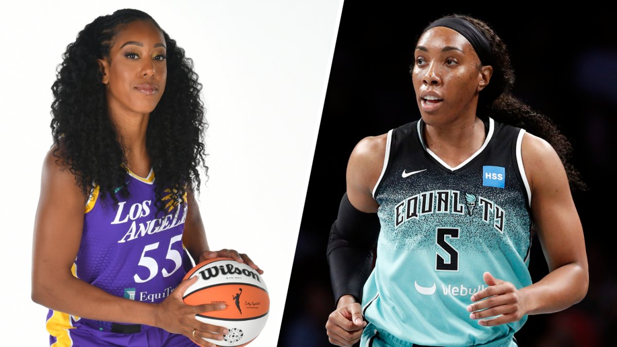 A dozen Americans who played in Russia after Brittney Griner’s arrest