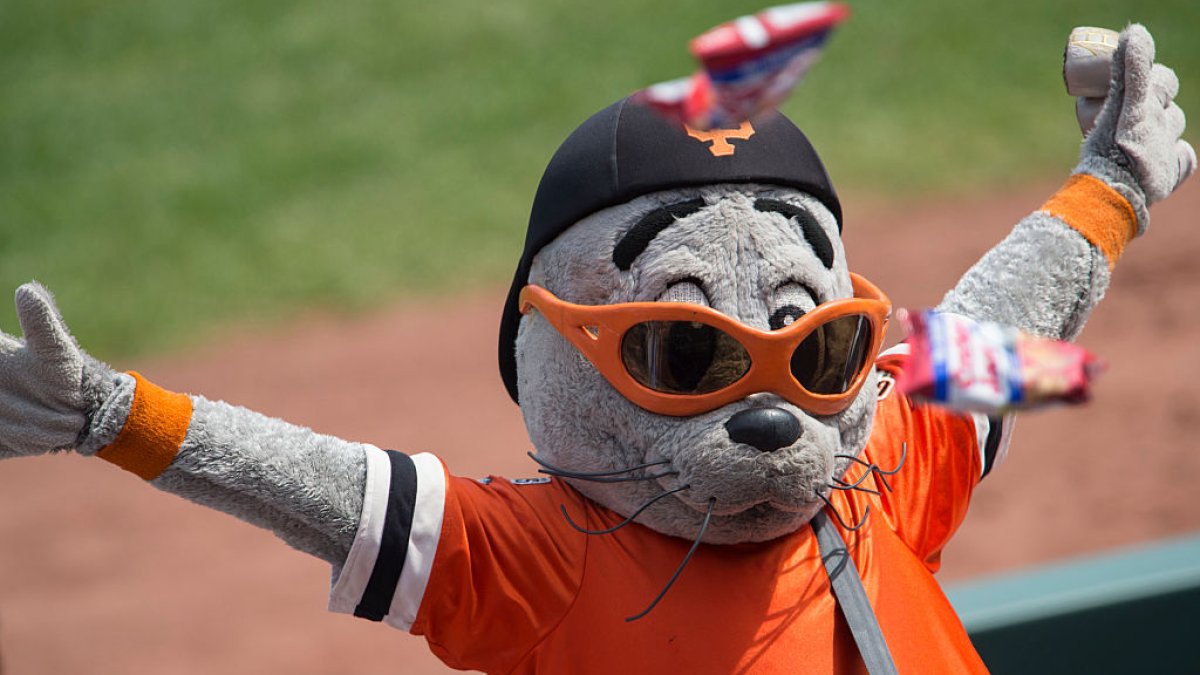 Giants’ Lou Seal inducted into Mascot Hall of Fame Class of 2024 – NBC ...