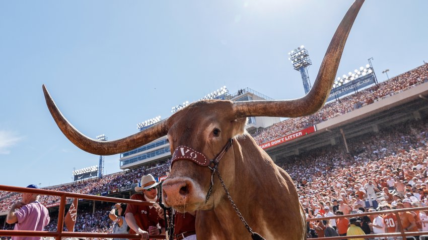 Bevo