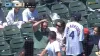 Giants fan takes foul ball to top of head that leaves brutal mark during game