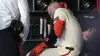 Casey Schmitt's breakout year likely on hold as Giants await news on knee injury