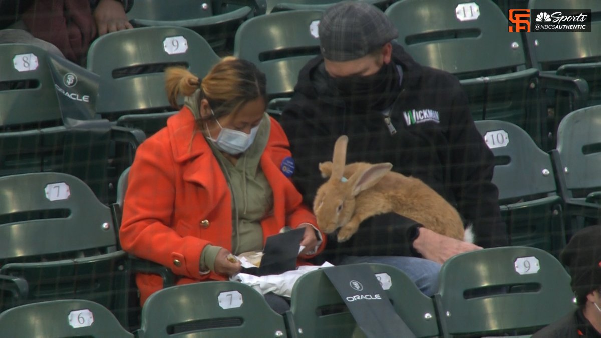 Alex the Bunny' was a hit at Oracle Park during Thursday's Giants
